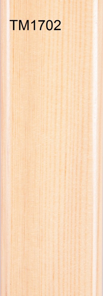 TM1702